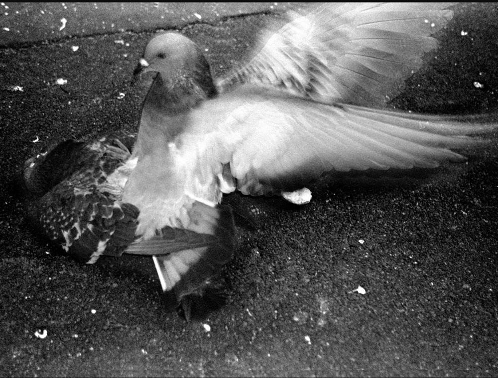 Фрагменты. Рекламный и коммерческий фотограф | Георгий Романов