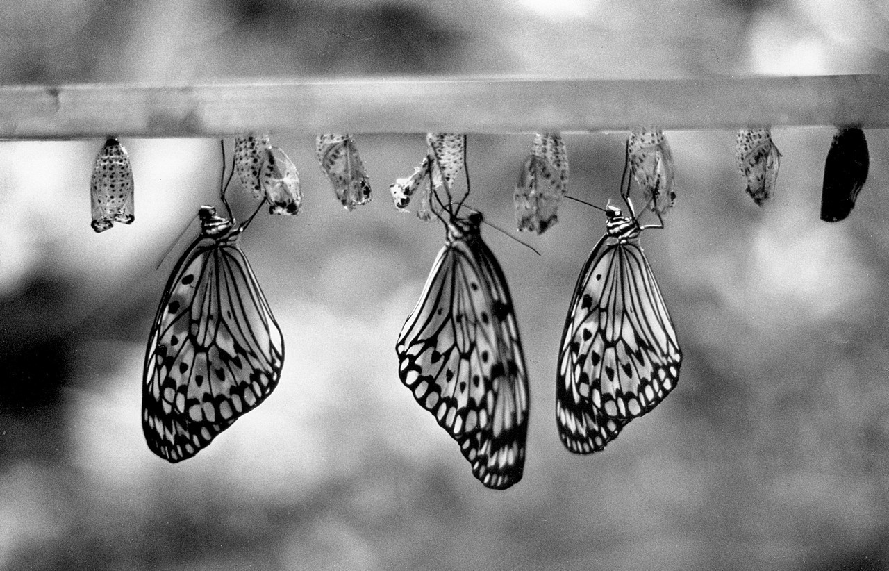 Монохром. Рекламный и коммерческий фотограф | Георгий Романов