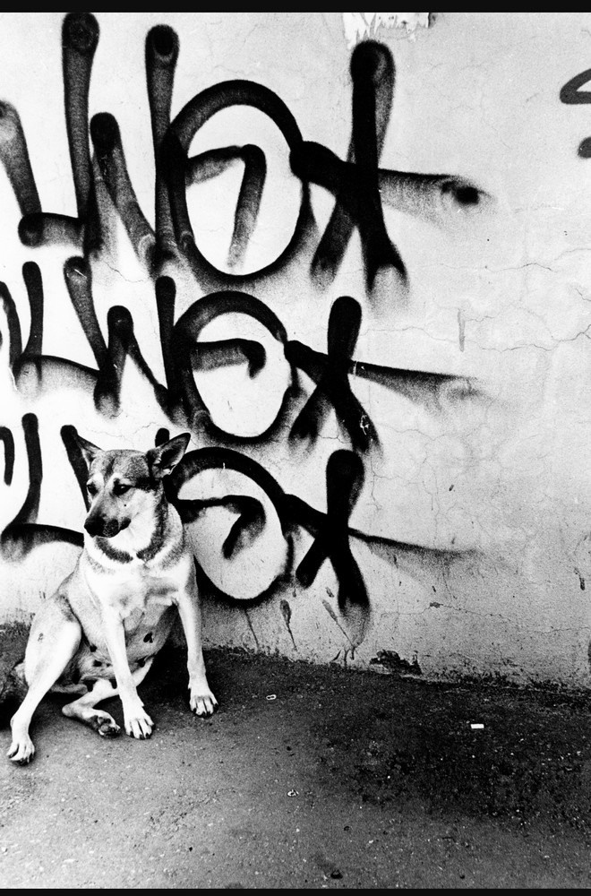 Фрагменты. Рекламный и коммерческий фотограф | Георгий Романов