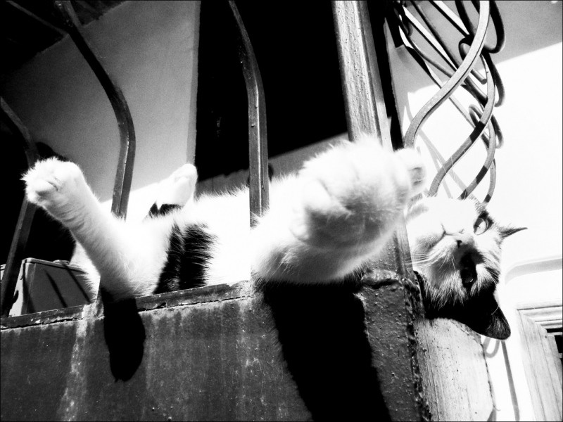 Документальный проект с фотографиями. Рекламный и коммерческий фотограф | Георгий Романов