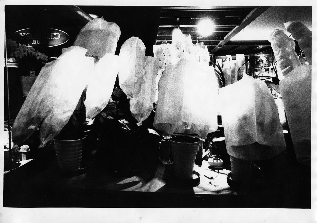 В Осаке - Пить. Выставка фотографий. Рекламный и коммерческий фотограф | Георгий Романов