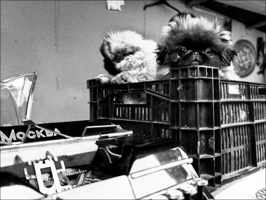 Фотопроект Блошиный Рынок. Рекламный и коммерческий фотограф | Георгий Романов