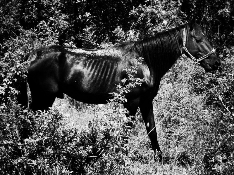 Документальный проект с фотографиями. Рекламный и коммерческий фотограф | Георгий Романов