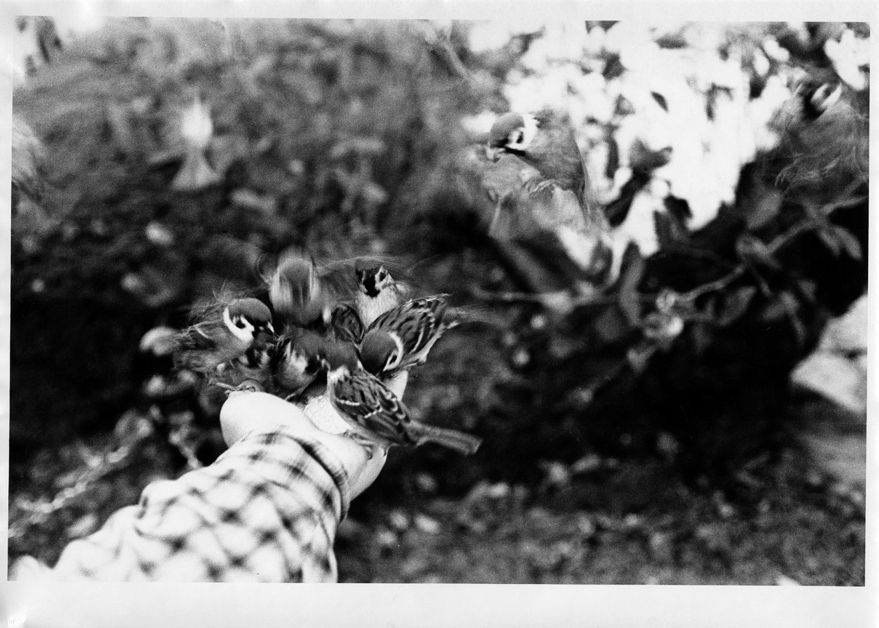 В Осаке - Пить. Выставка фотографий. Рекламный и коммерческий фотограф | Георгий Романов