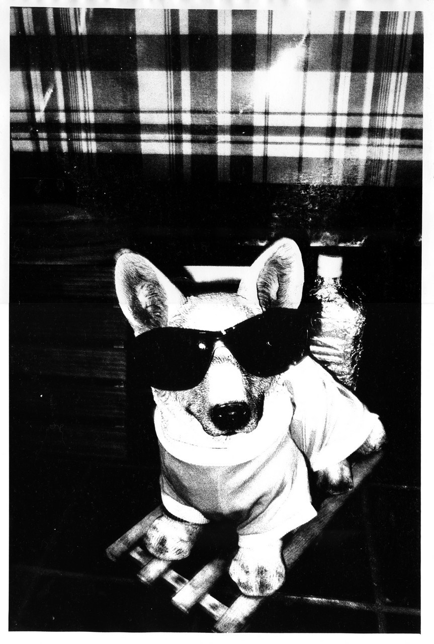 В Осаке - Пить. Выставка фотографий. Рекламный и коммерческий фотограф | Георгий Романов