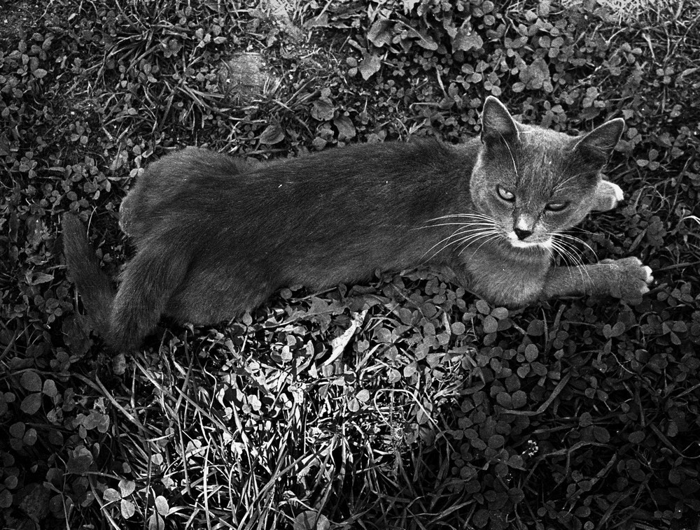 Фрагменты. Рекламный и коммерческий фотограф | Георгий Романов