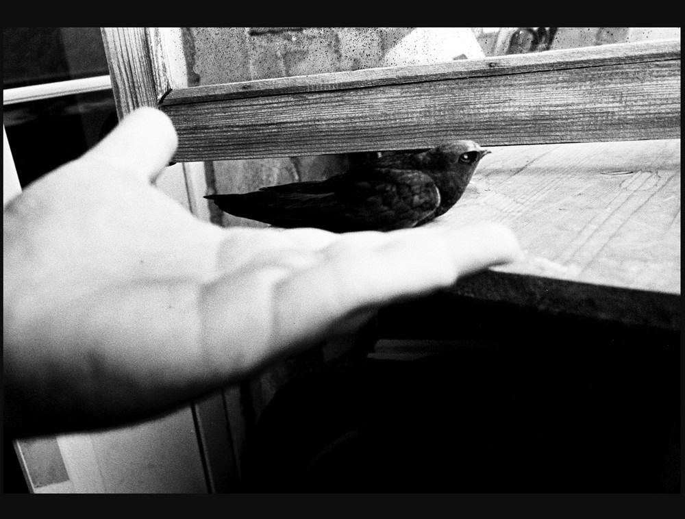 Фрагменты. Рекламный и коммерческий фотограф | Георгий Романов