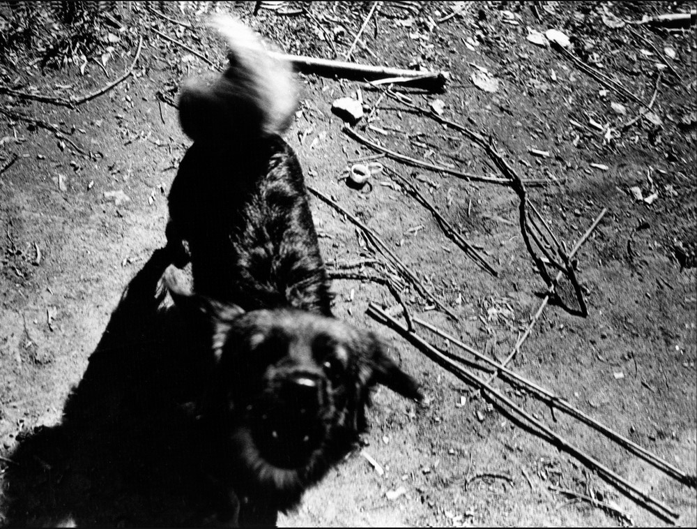 Фрагменты. Рекламный и коммерческий фотограф | Георгий Романов