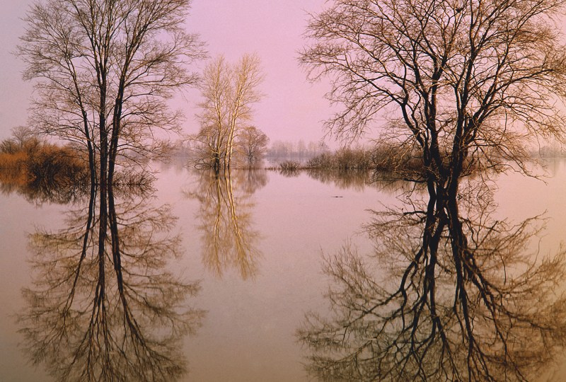 Весна. ВАДИМ ГИППЕНРЕЙТЕР — ВЕЛИКИЙ ФОТОГРАФ ЗЕМЛИ РУССКОЙ