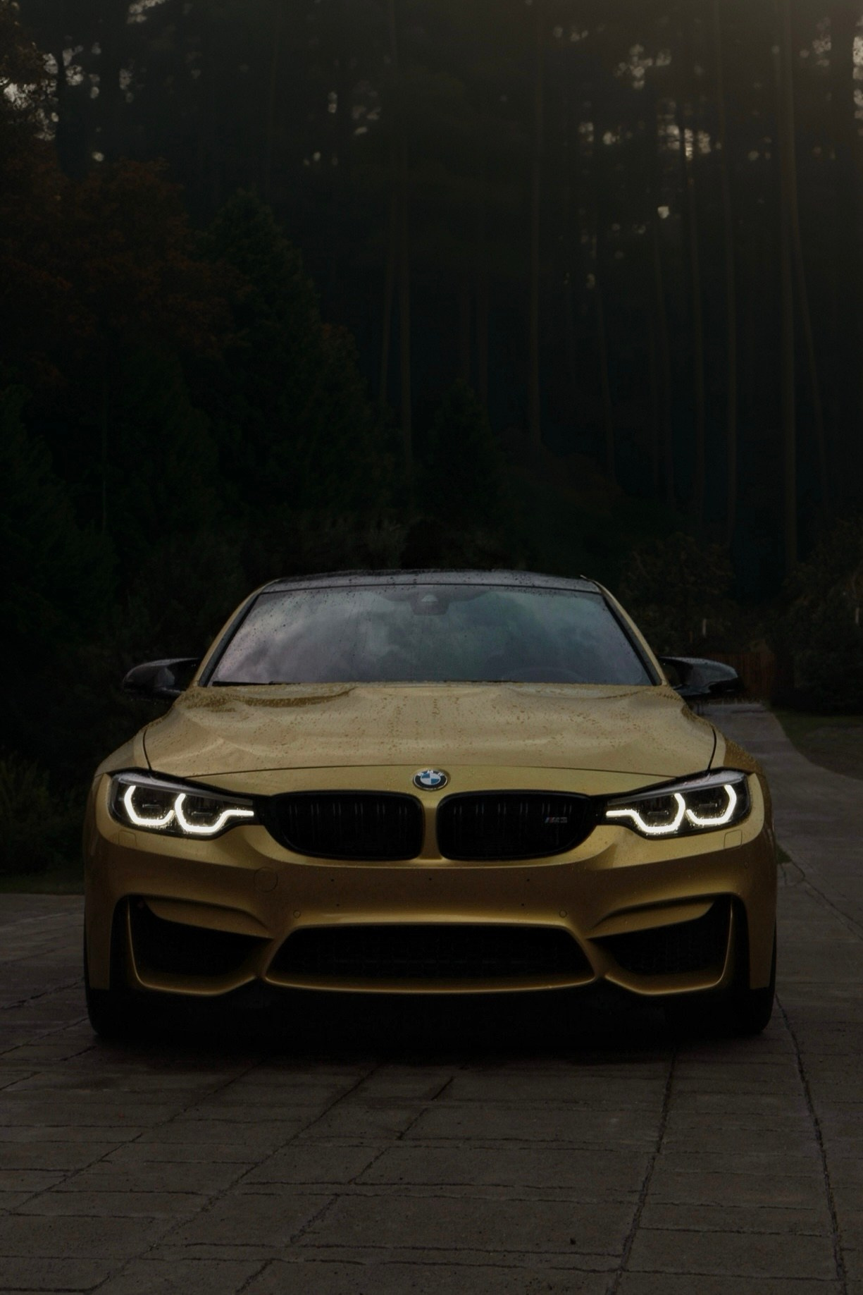 BMW M3 F80. Автомобильный фотограф и видеограф в Новосибирске|Александра Косухина