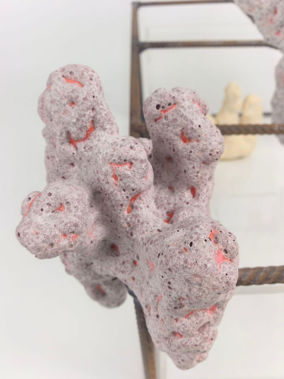 Биоморфные объекты. Художник-керамист Екатерина Ельникова