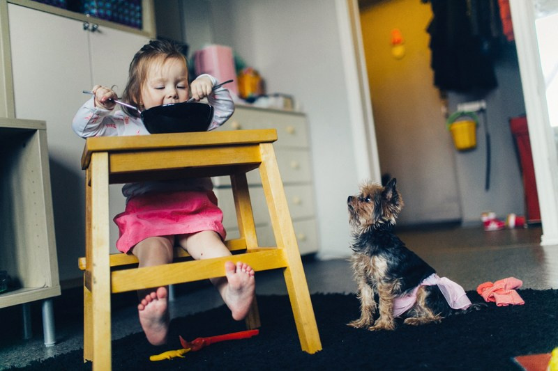 Ярик и Ева. Свадебный фотограф в Москве — Павел Воронцов