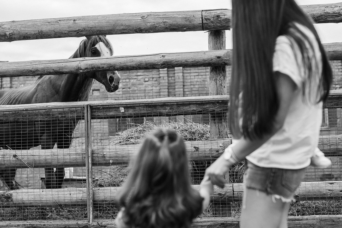 СЕМЬЯ. АЛЕКСАНДР ФОКС