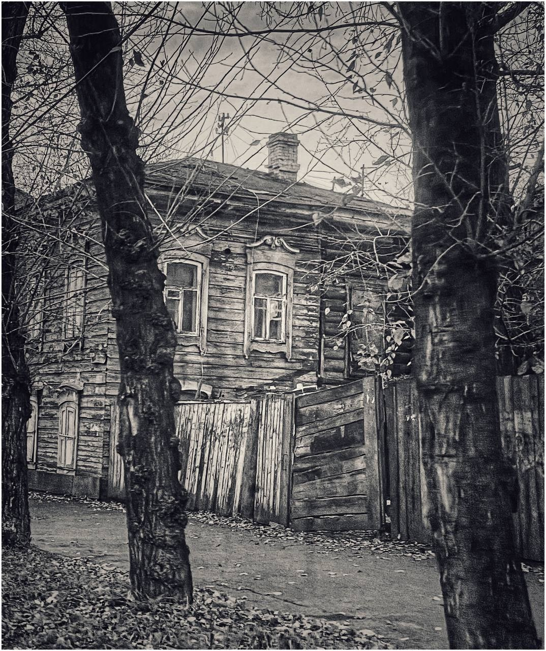 2024. Тащилин Сергей. Фотографии. Жизнь. Хобби