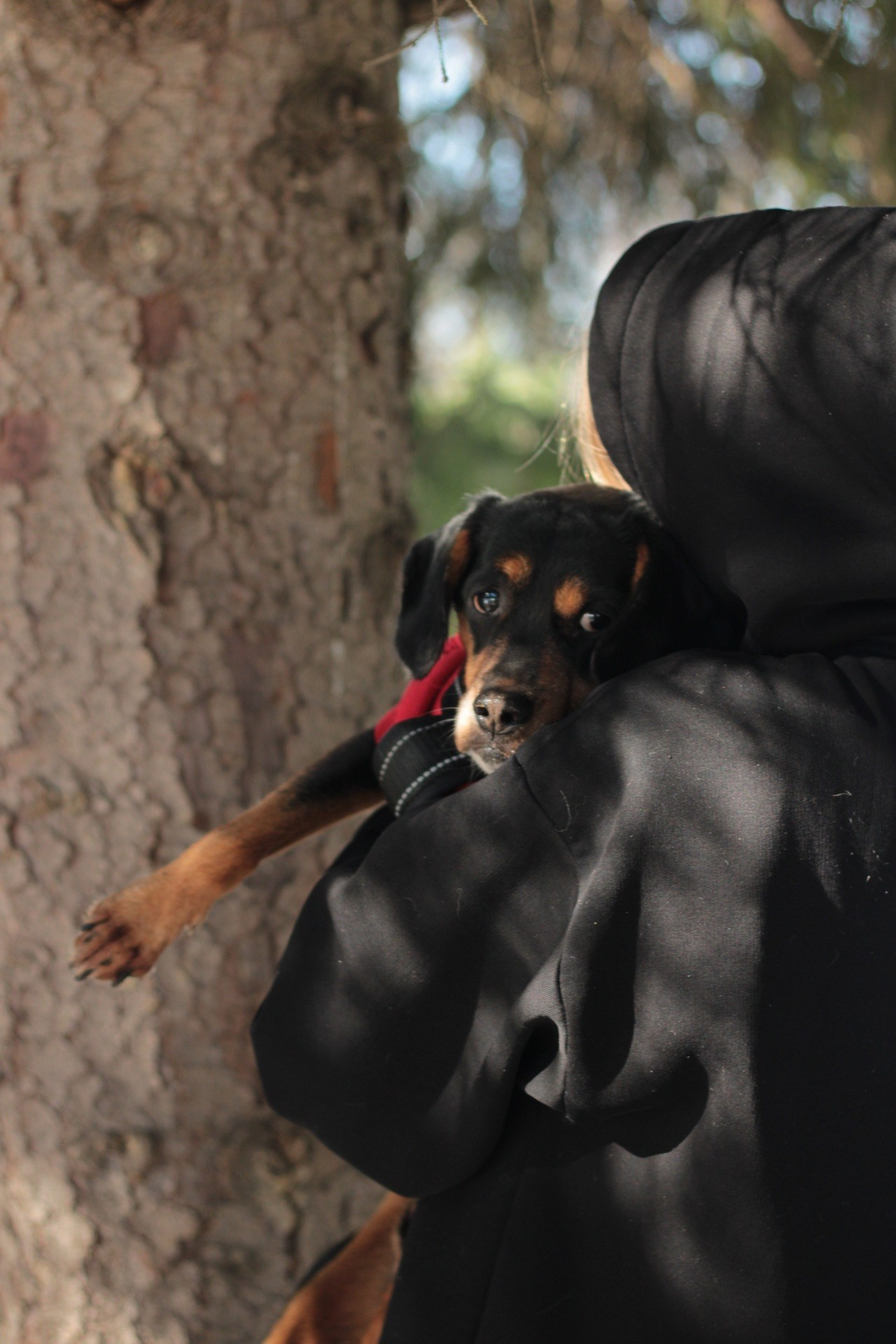 Маша и Кекс. Катя Попова|ЛайфСтайл фотограф