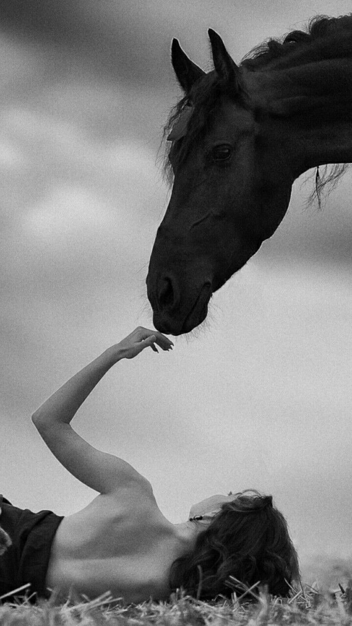 Девушка и лошадь. Фотограф в Екатеринбурге Юлия Ташлыцкая