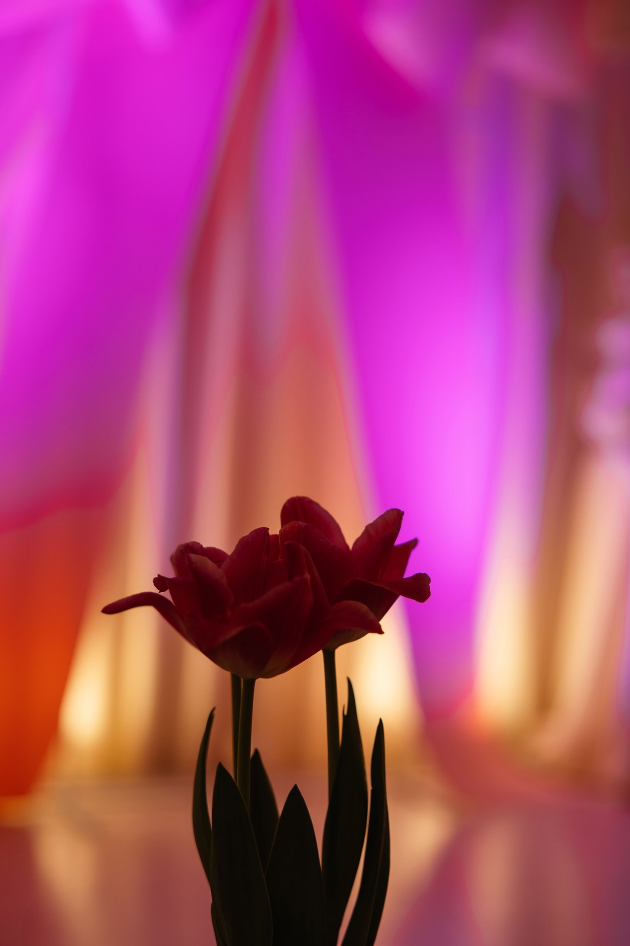 Отзывы. Свадебный фотограф в Краснодаре Татьяна Гура