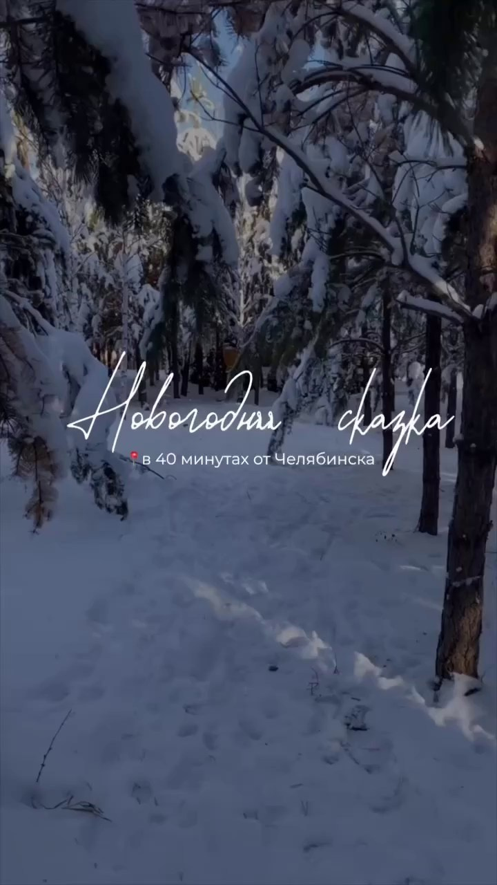 Идеи новогоднего контента. Дьячкова Мария фотограф