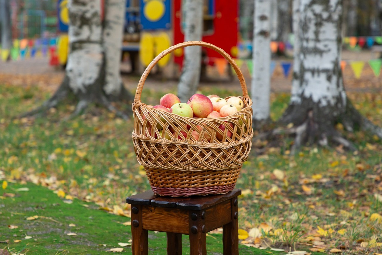 Отзывы. Семейный и детский фотограф в Санкт-Петербурге Пуликов Дмитрий