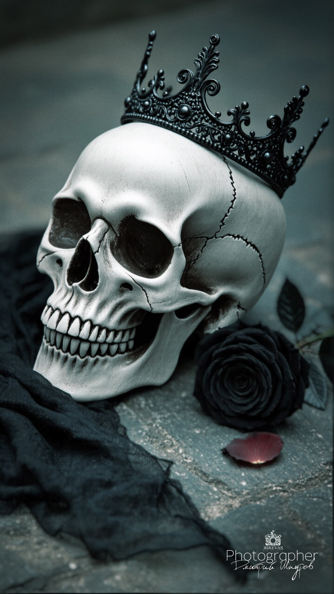 Черная королева. Мобильный фотограф Дмитрий Шпуров | KIREVAS