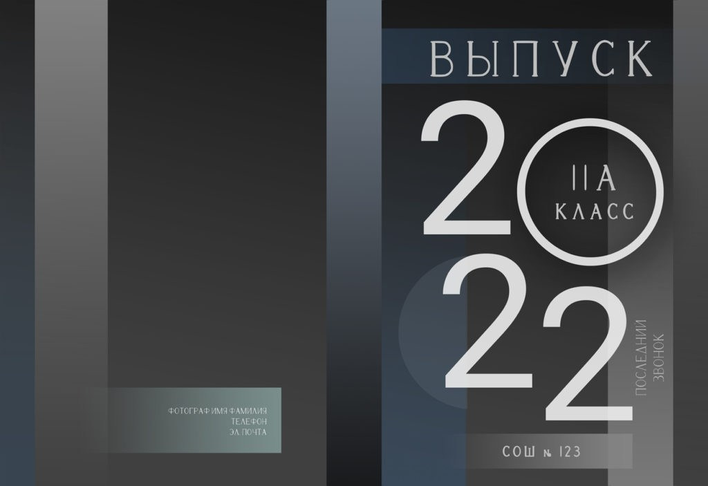 Варианты Обложек. Свадебный фотограф Денис Перминов в Воронеже