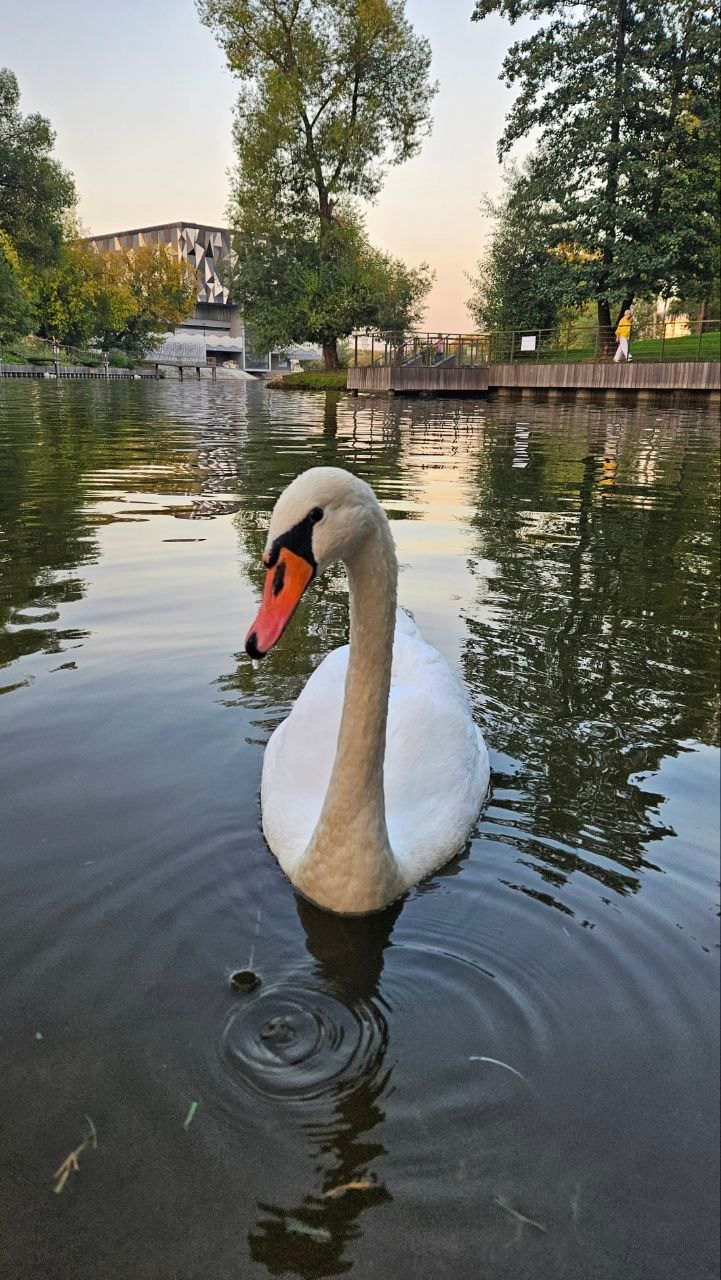 Занятия для художников. Изостудия «Мы рисуем!» ♥ Южное Бутово, Москва