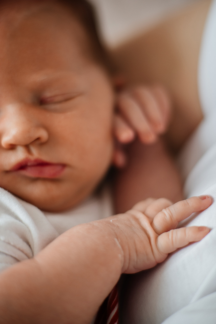 Лена Антон Алисочка. Семьи