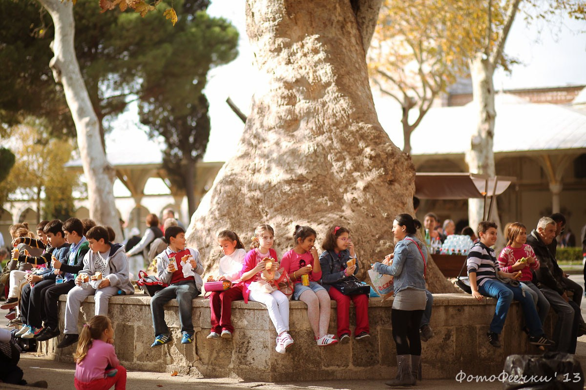Стамбул, Турция. Анна Леденева Фотограф