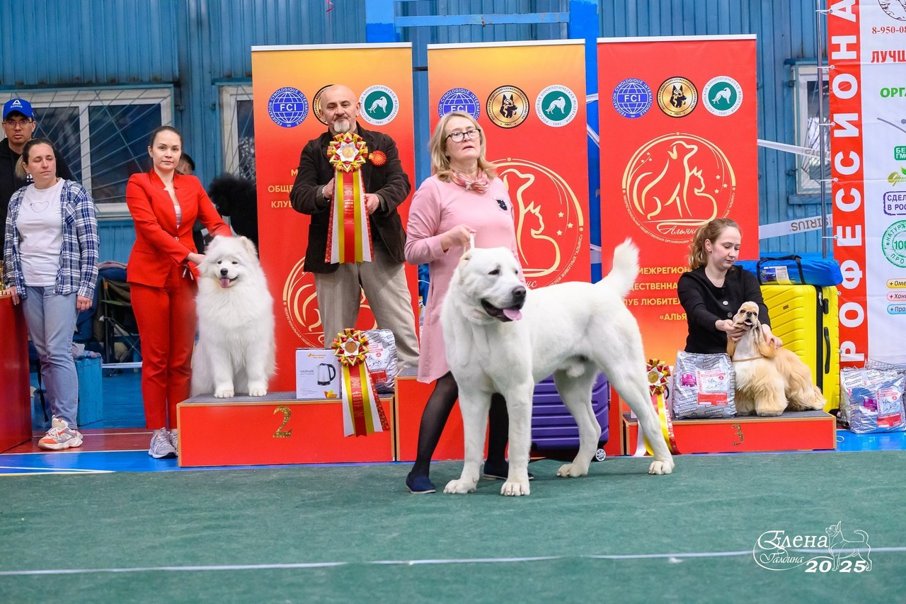 Отзывы. Фотограф анималист Елена Галдина г. Красноярск