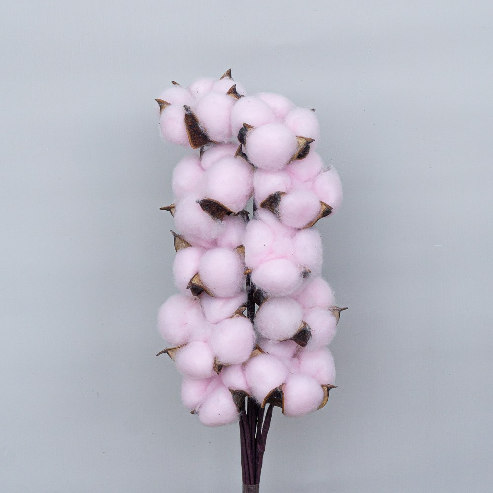 Сухоцветы. Фотограф в Екатеринбурге Яна Круташова