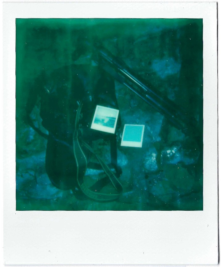 Полароиды. Катерина Эделева