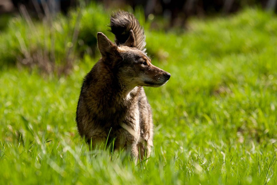 Street art. Фотостудия Алматы. Фотосъемка Алматы. Фотосессия Алматы. Фотокурсы. Обучение фотографии. Аренда студии
