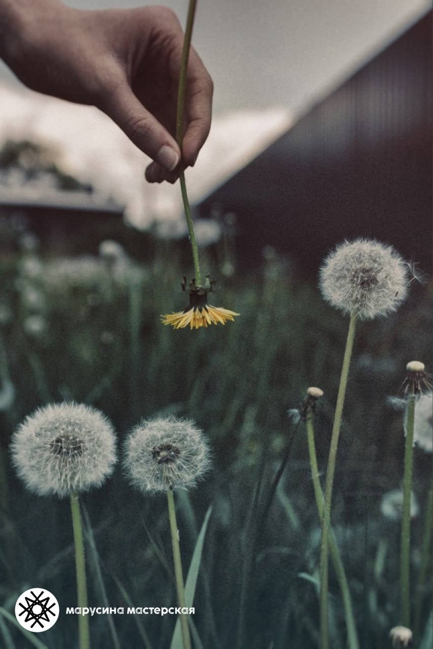 Ольга Верижникова