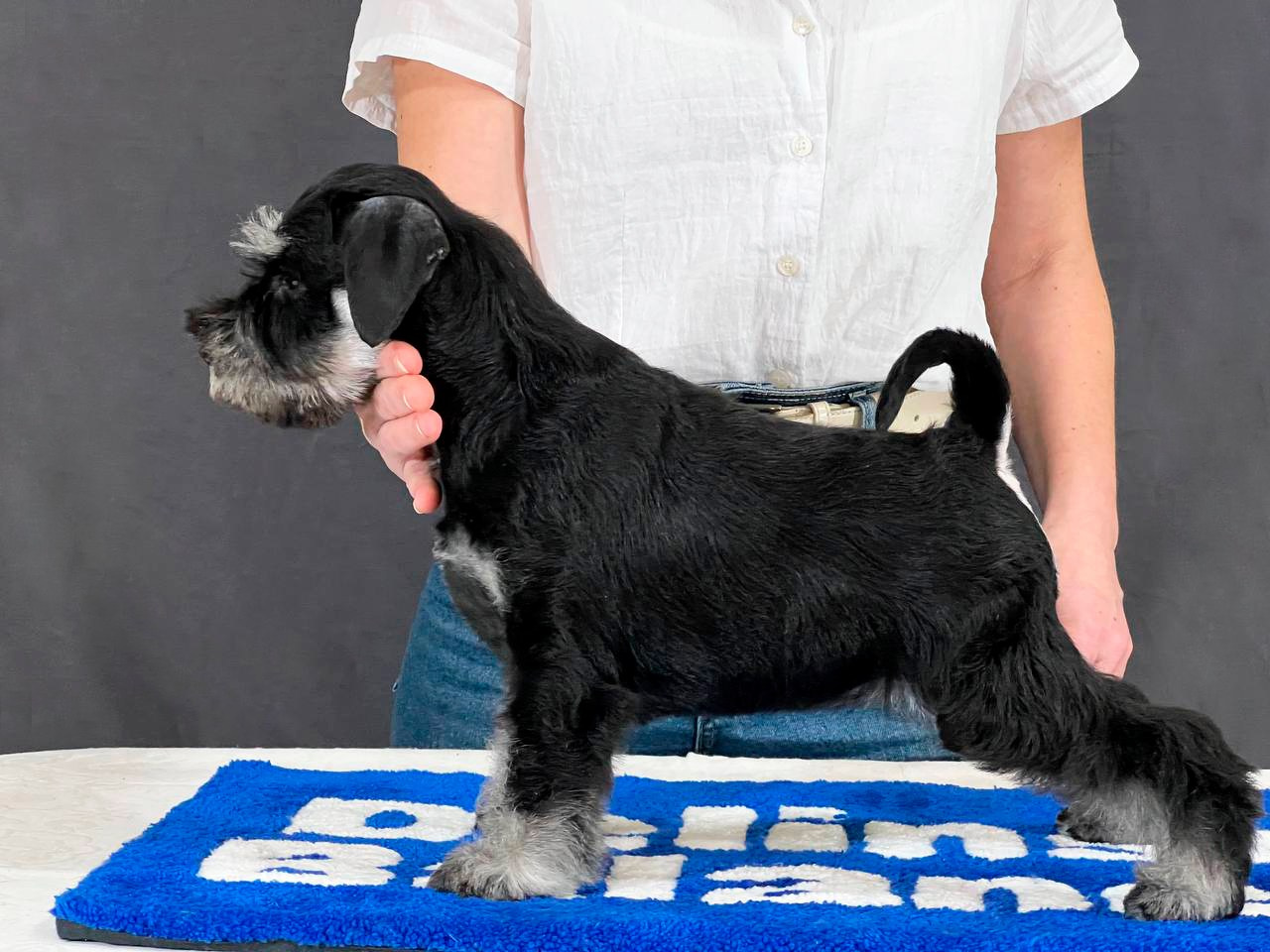 Делинсо Бэлэнс Ямира Лоис💛