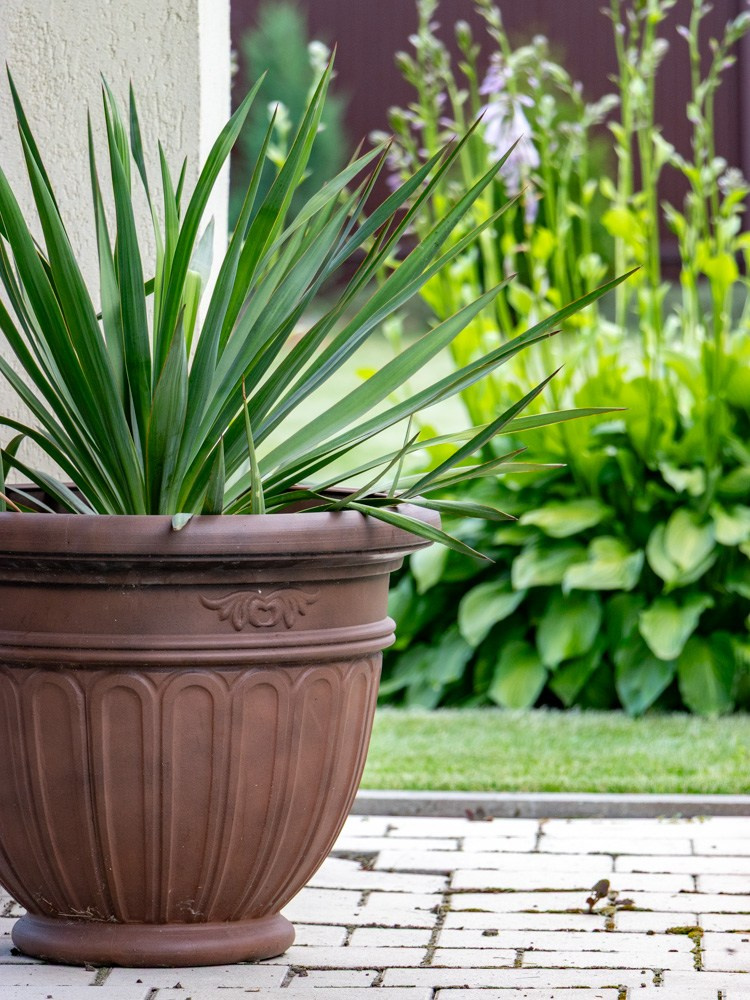 Интерьерная коттедж. Leclerc-studio