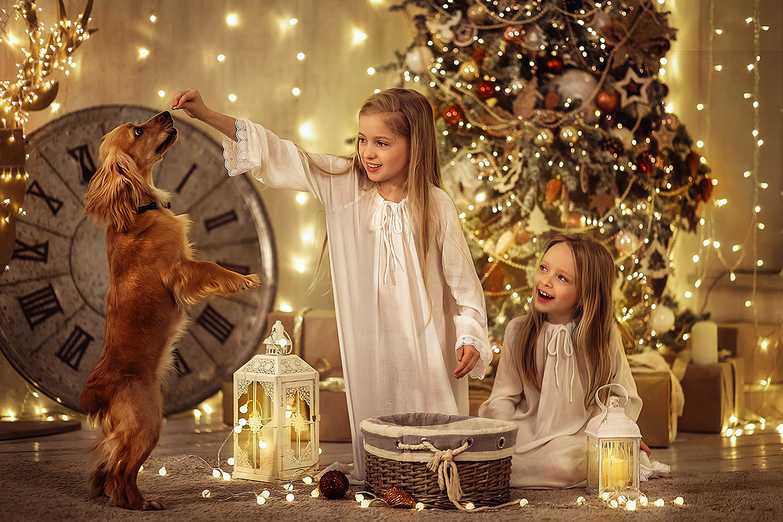 Новогодняя сказка. Семейный, детский фотограф, бизнесконтент, актерское портфолио в Москв