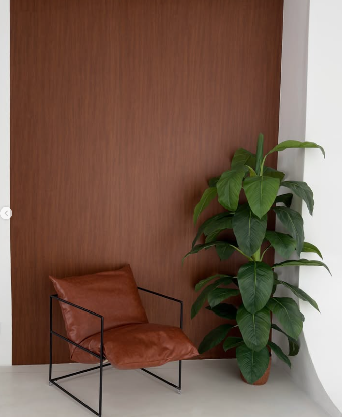 Studios Tbilisi. Фотограф, видеограф Пятигорск, Ставрополь, Ессентуки, Petlyakovs_photo