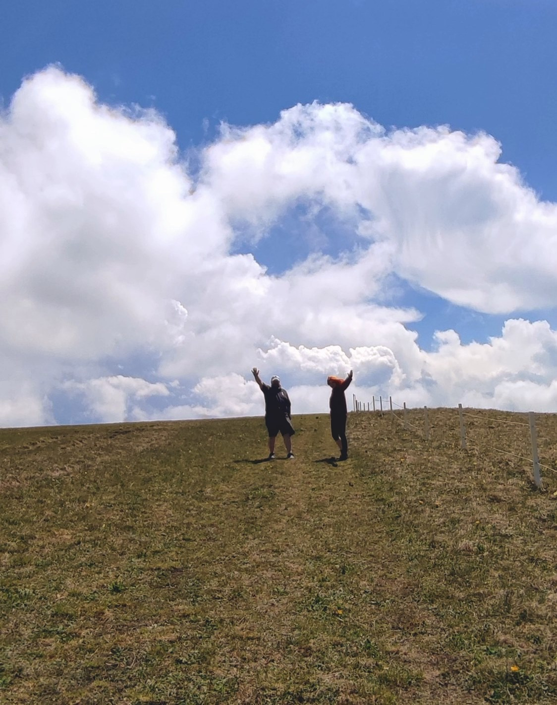 Основная информация