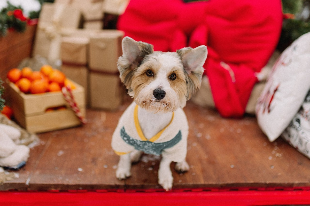 Отзывы. О любви. о чувствах. о вас. Аня Суббота