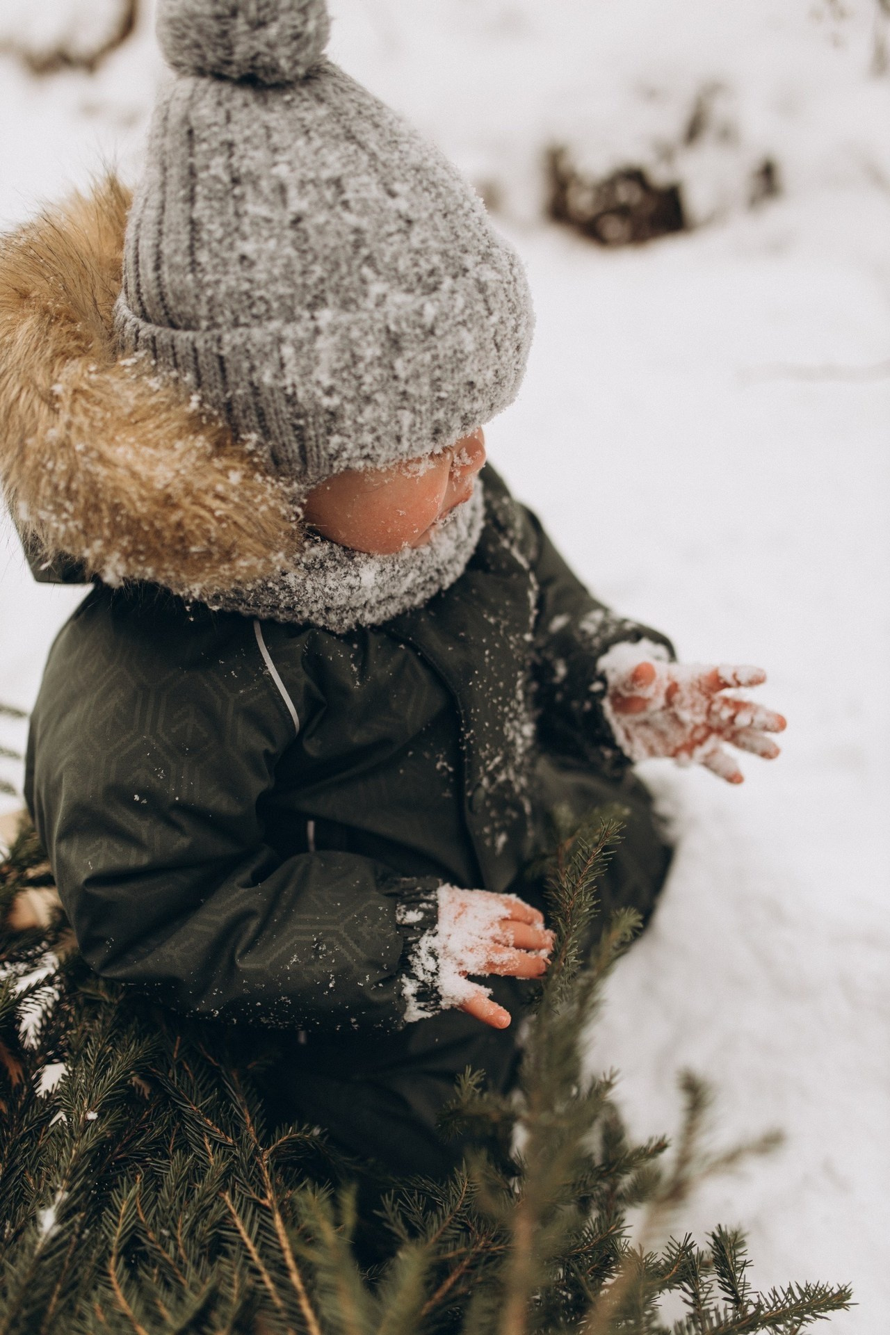 Приключение Вовы и его родителей. Услуги