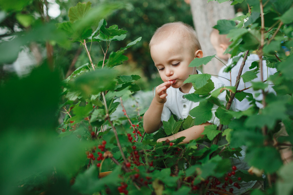 Семейная фотосессия двух братьев на даче. Фотограф в Москве Татьяна Байкова