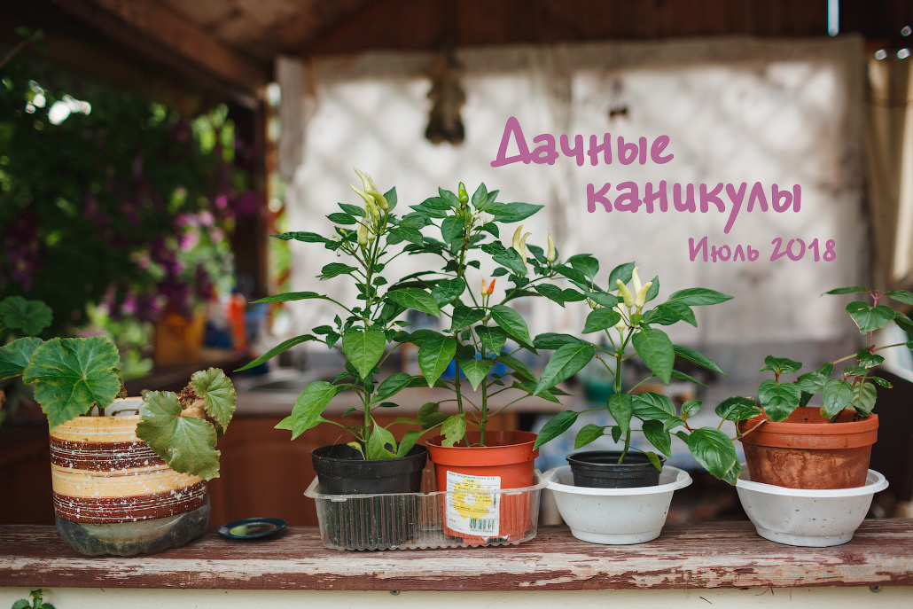 Семейная фотосессия двух братьев на даче. Фотограф в Москве Татьяна Байкова