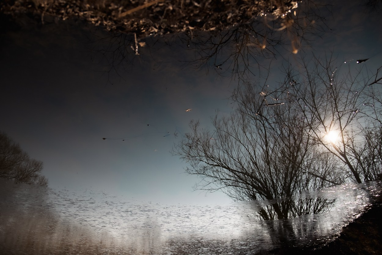 Фотосессия будущей мамы. В ожидании. Женский портрет. Арт-фотограф. Фотосъемка, авторские принты для интерьера