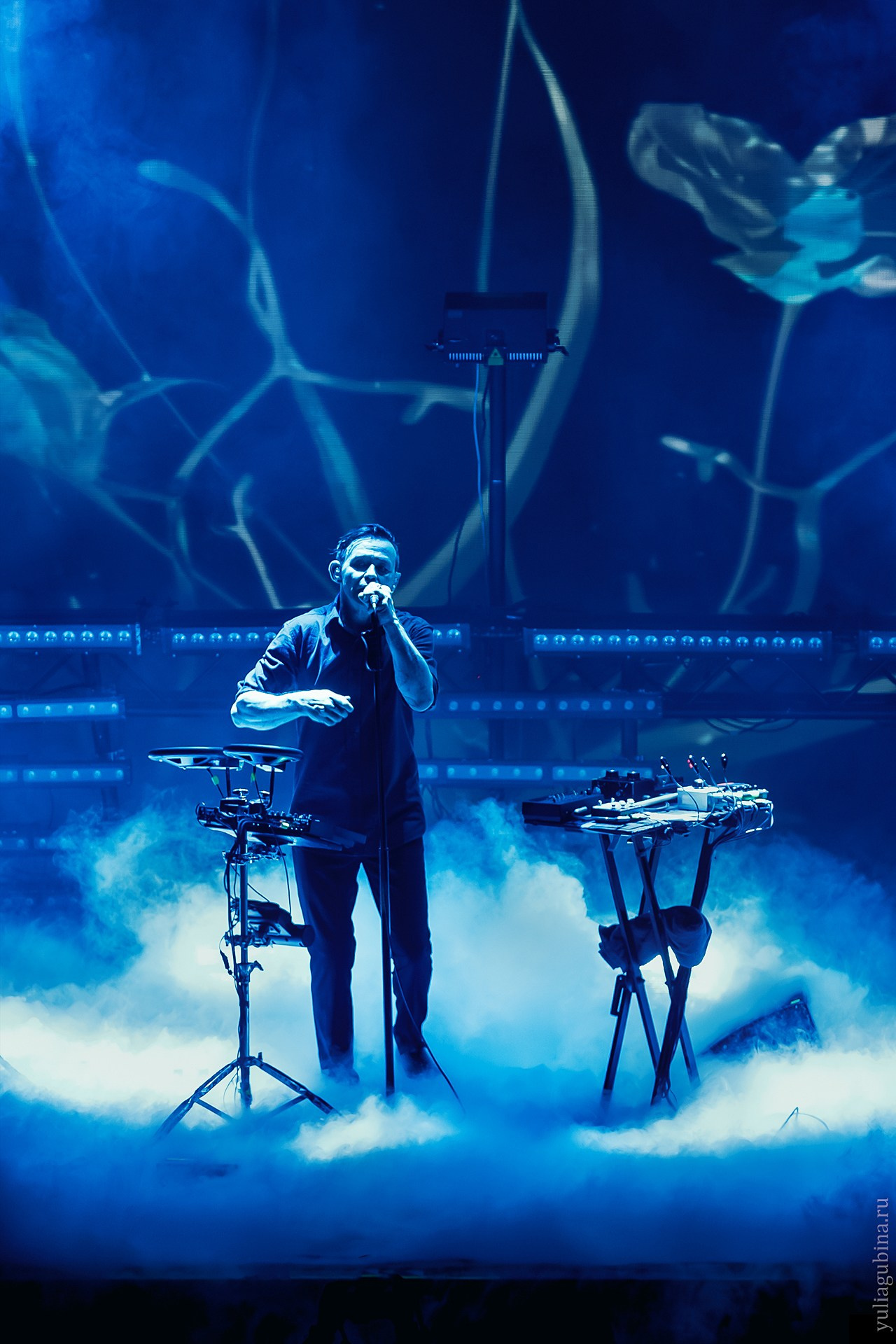 Дельфин, 01.12.24, Atmosphere