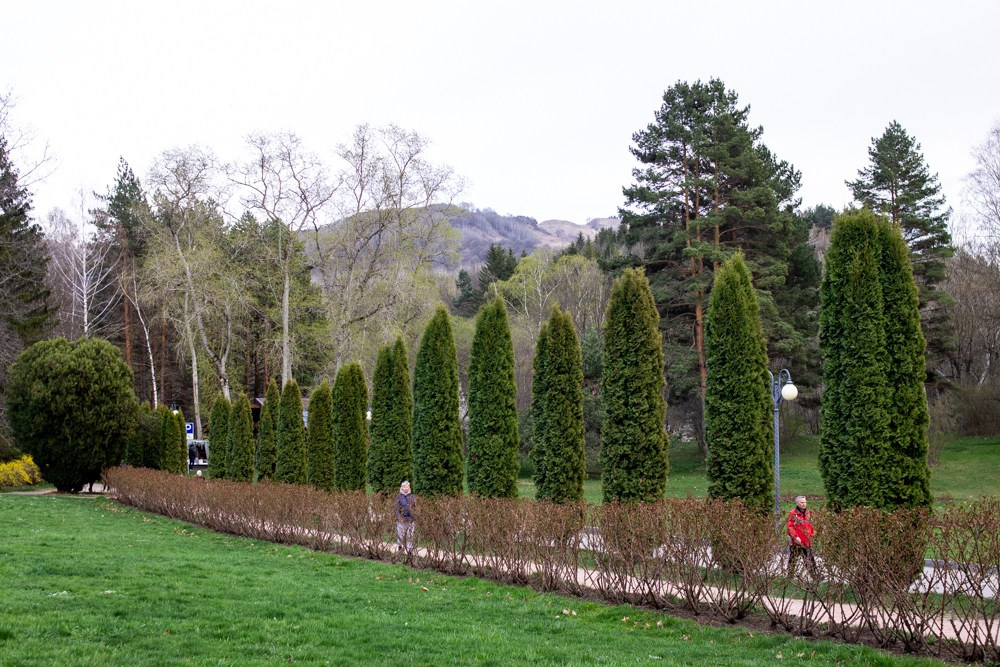 Кавказ. Детский и семейный фотограф в Екатеринбурге Екатерина Гильманова