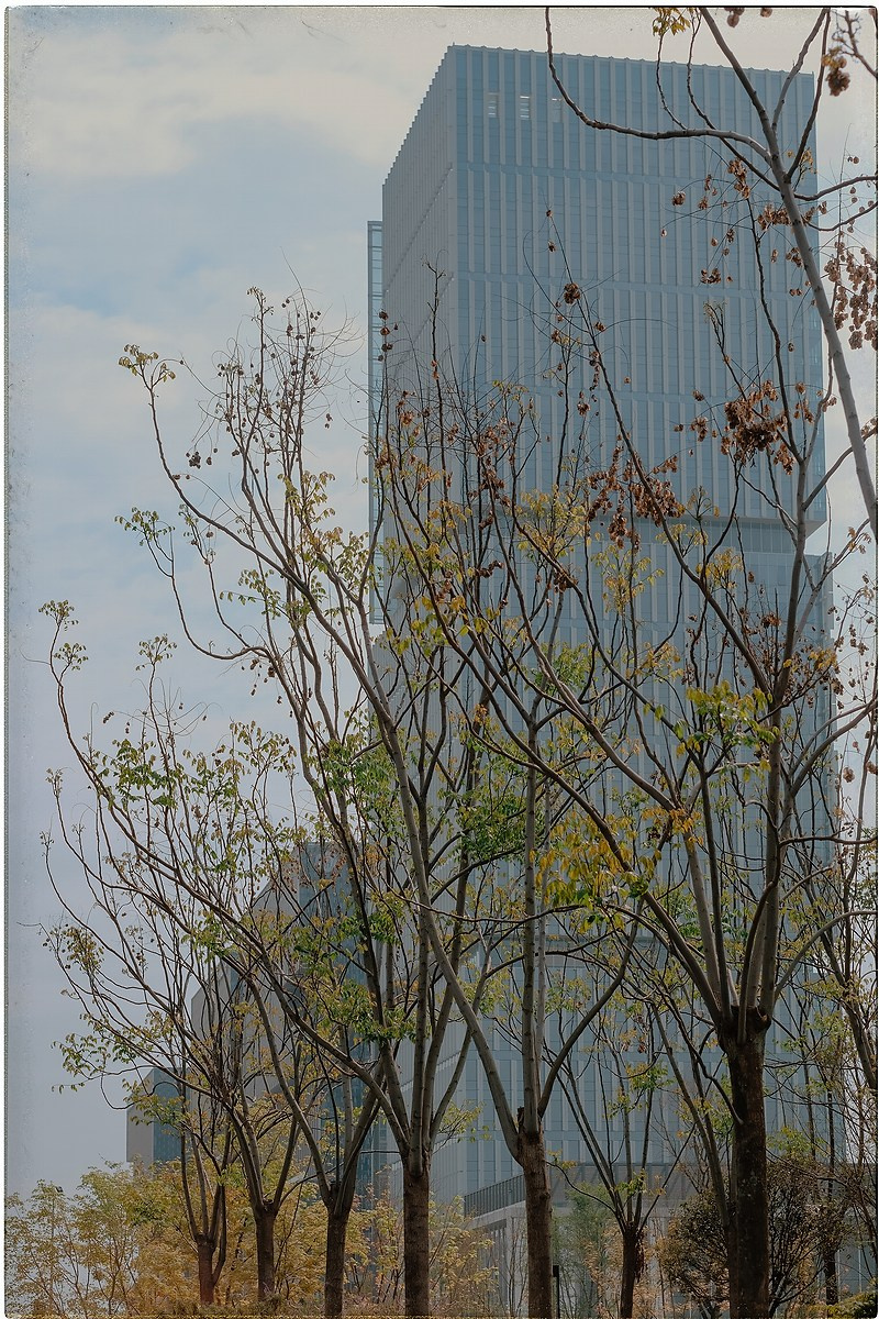 Китай. Портретный и репортажный фотограф в Санкт-Петербурге Дарья Сибирякова