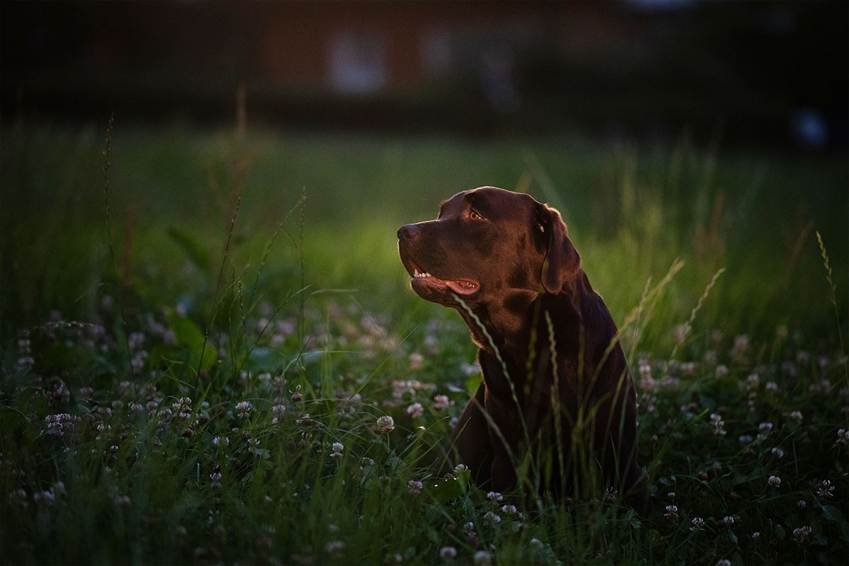 Отзывы. Фотограф Анастасия Ветковская, Москва