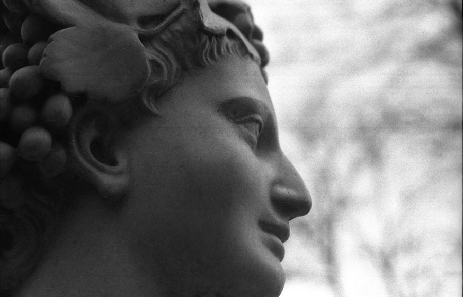 Those. Елена Цихон художник фотографии и мастер фото-ДНК