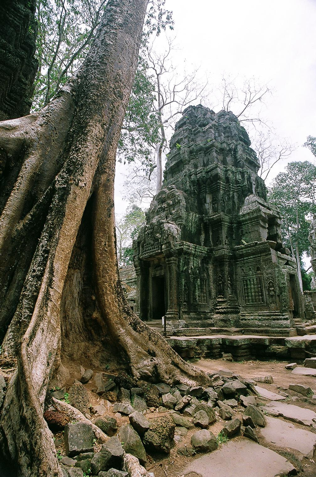 Камбоджа. Фотограф в Петербурге Татьяна Гуляева