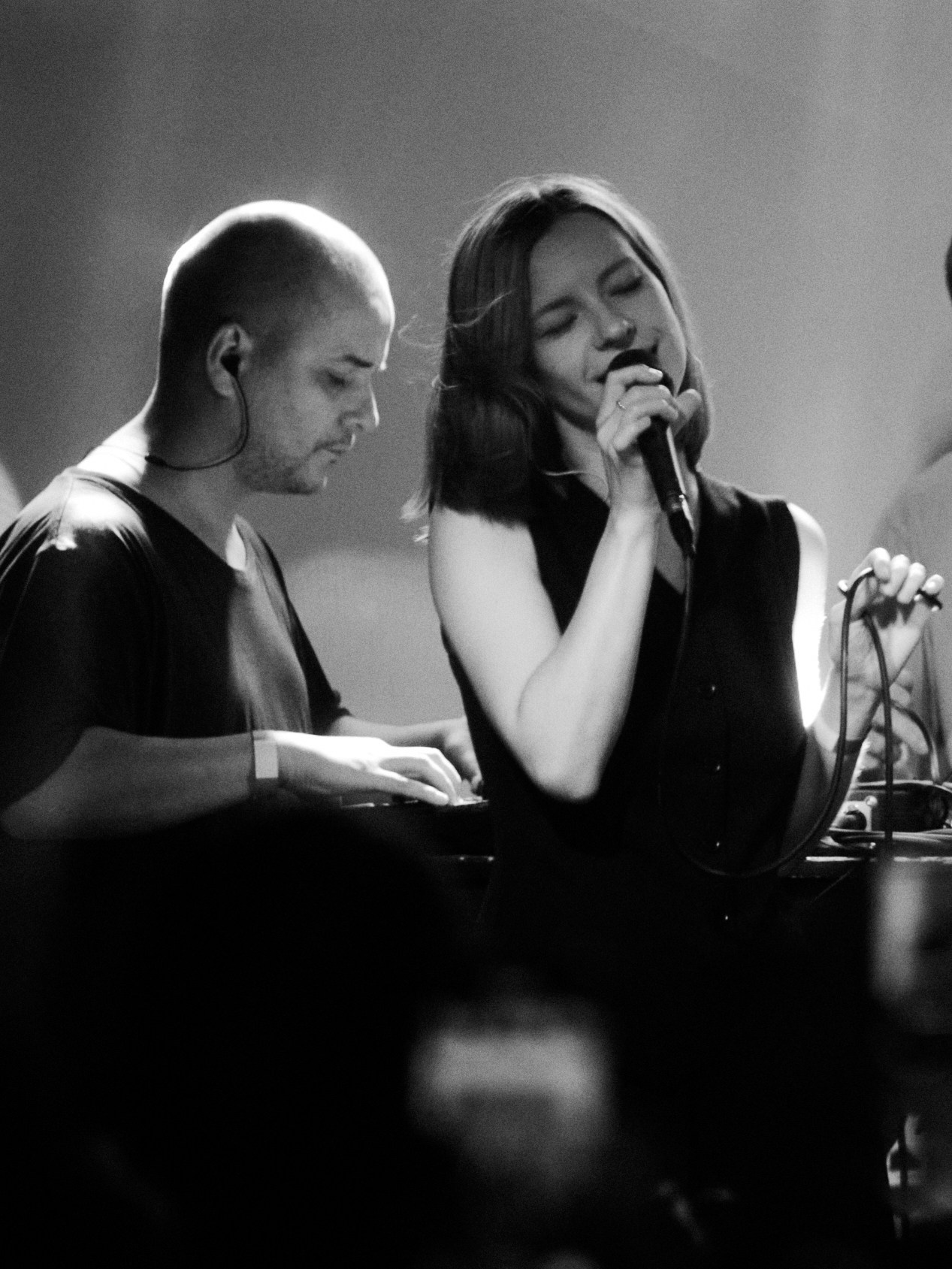 Порез на собаке. Фотограф Юлия Маринина